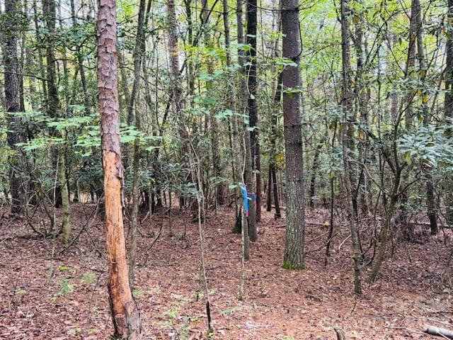 Acreage at 9999 Old Little Mountain Road, Pisgah Forest, photo 3 of 9
