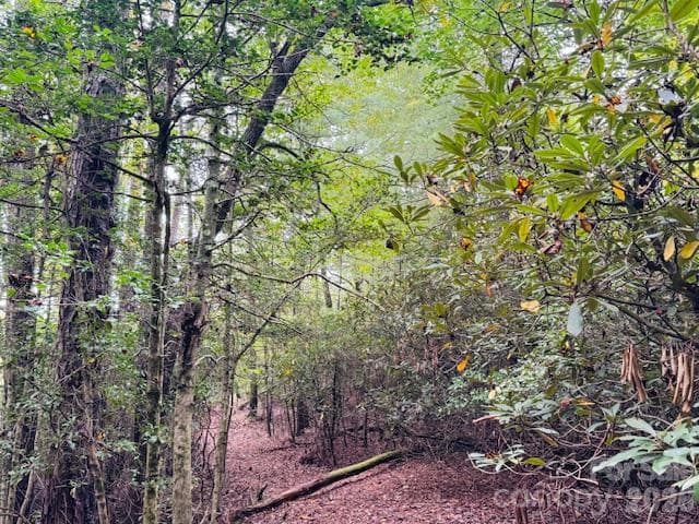 Acreage at 9999 Old Little Mountain Road, Pisgah Forest, photo 4 of 9
