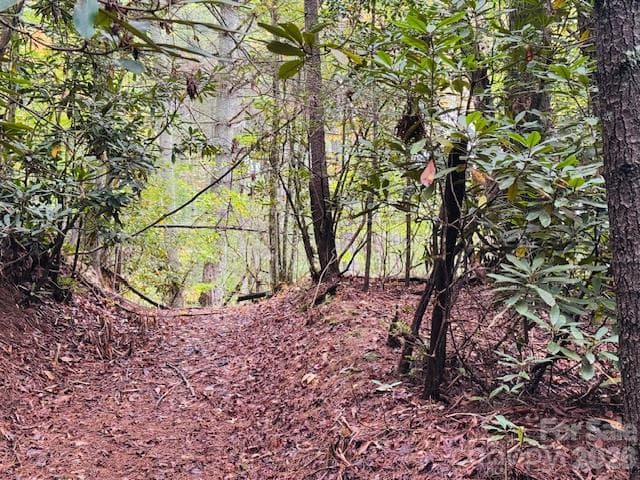 Acreage at 9999 Old Little Mountain Road, Pisgah Forest, photo 5 of 9