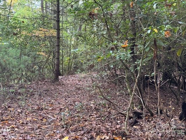 Acreage at 9999 Old Little Mountain Road, Pisgah Forest, photo 7 of 9