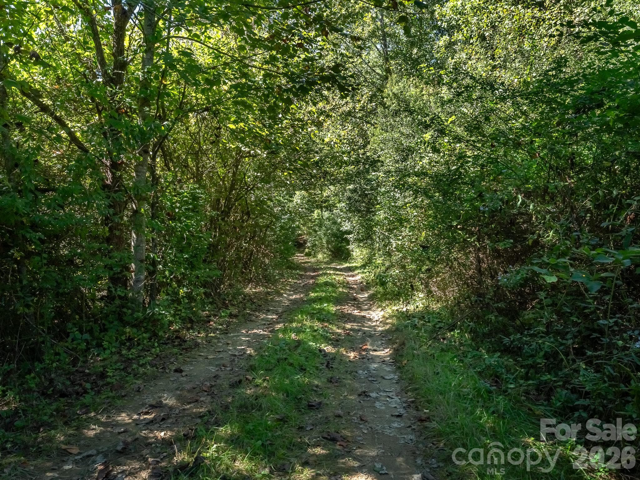 Acreage at 9999 Old Little Mountain Road, Pisgah Forest, photo 9 of 9