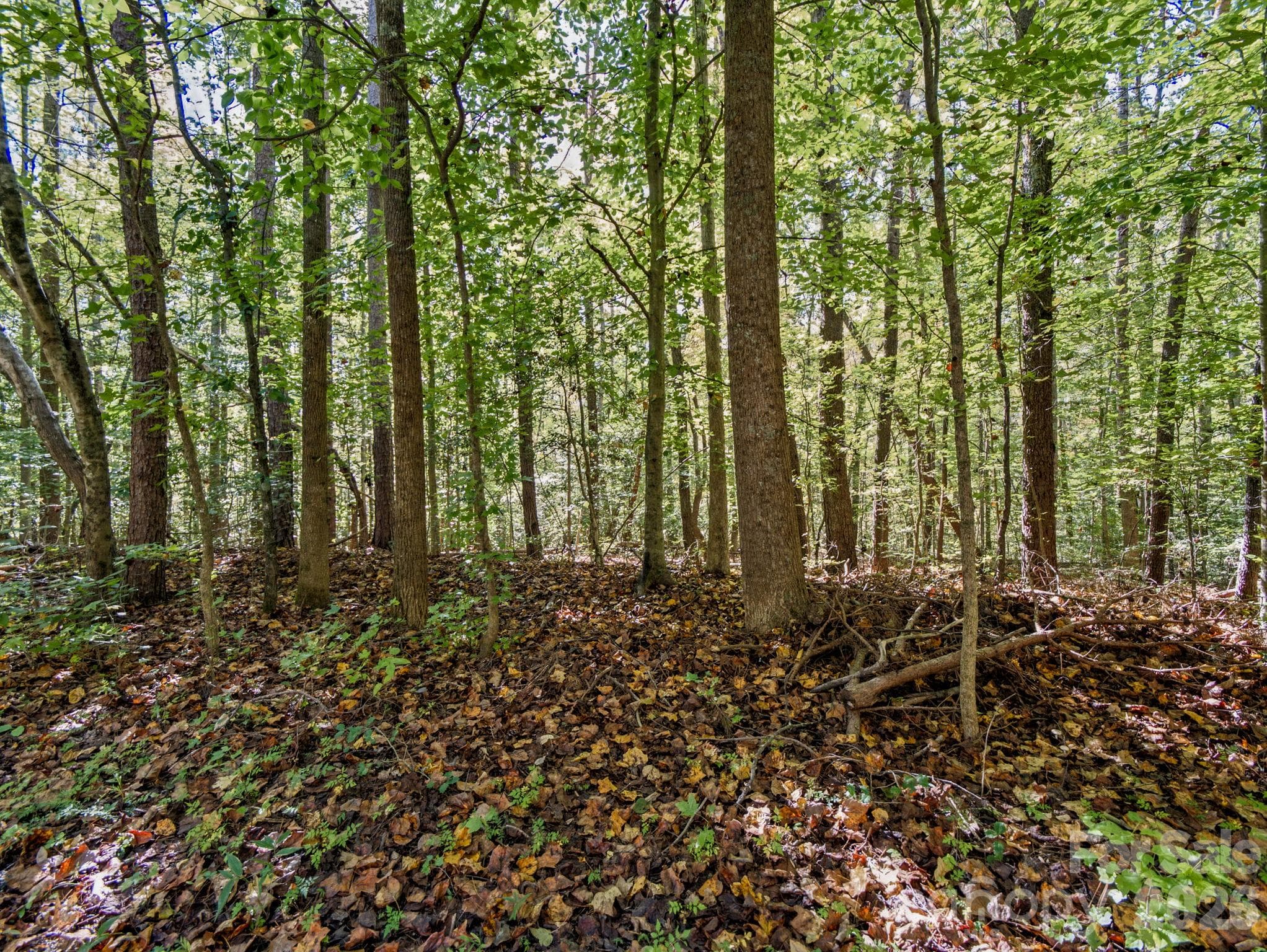 Lot at 000 Conifer Way, Shelby, photo 14 of 29