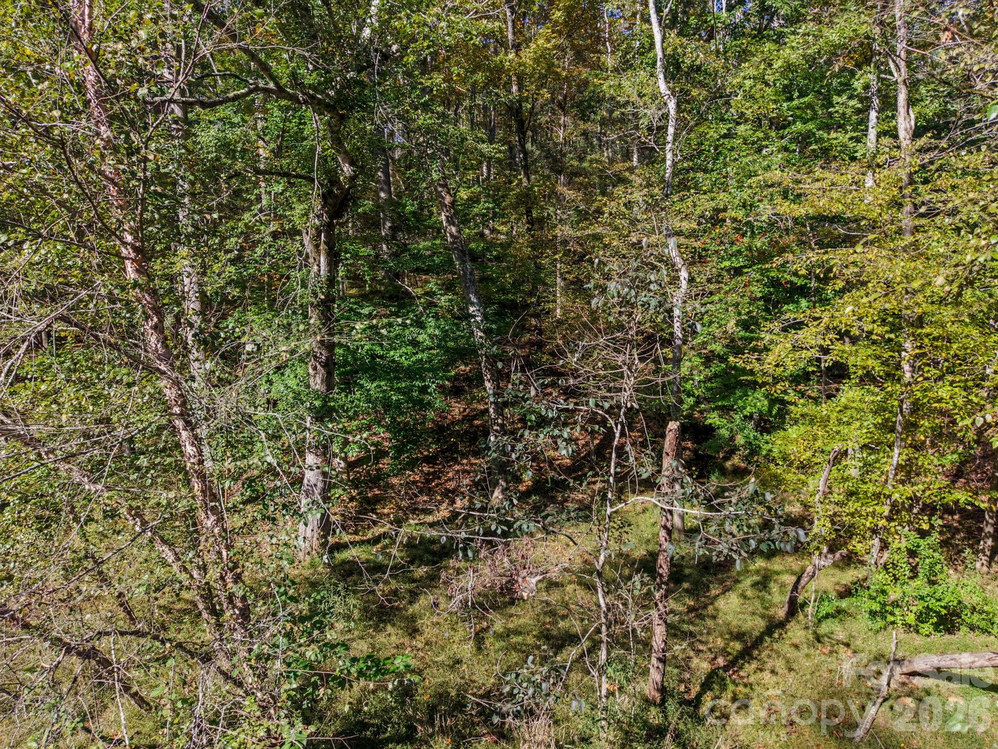 Lot at 000 Conifer Way, Shelby, photo 20 of 29