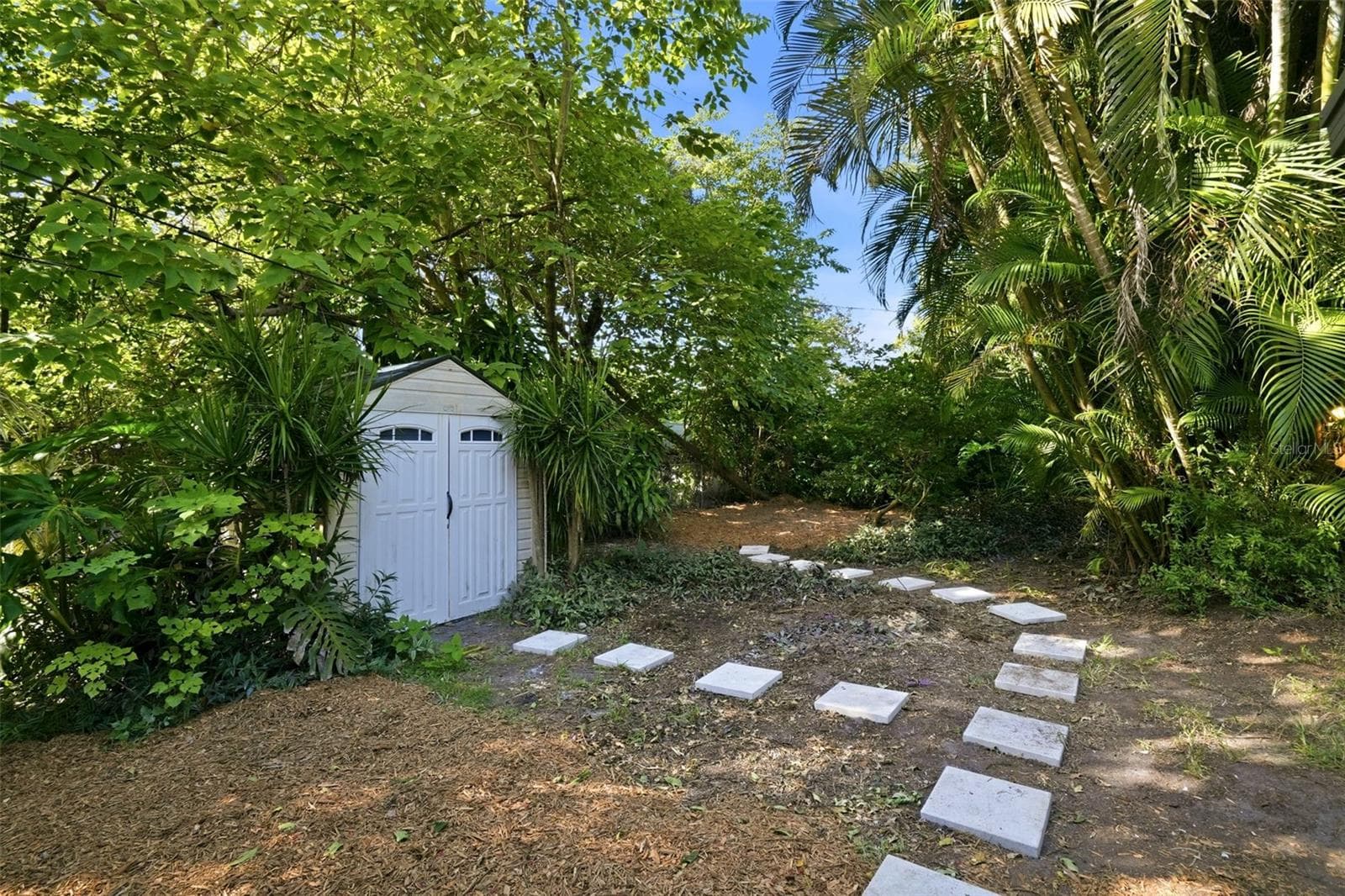 Backyard - 7909 49TH AVE N, ST PETERSBURG