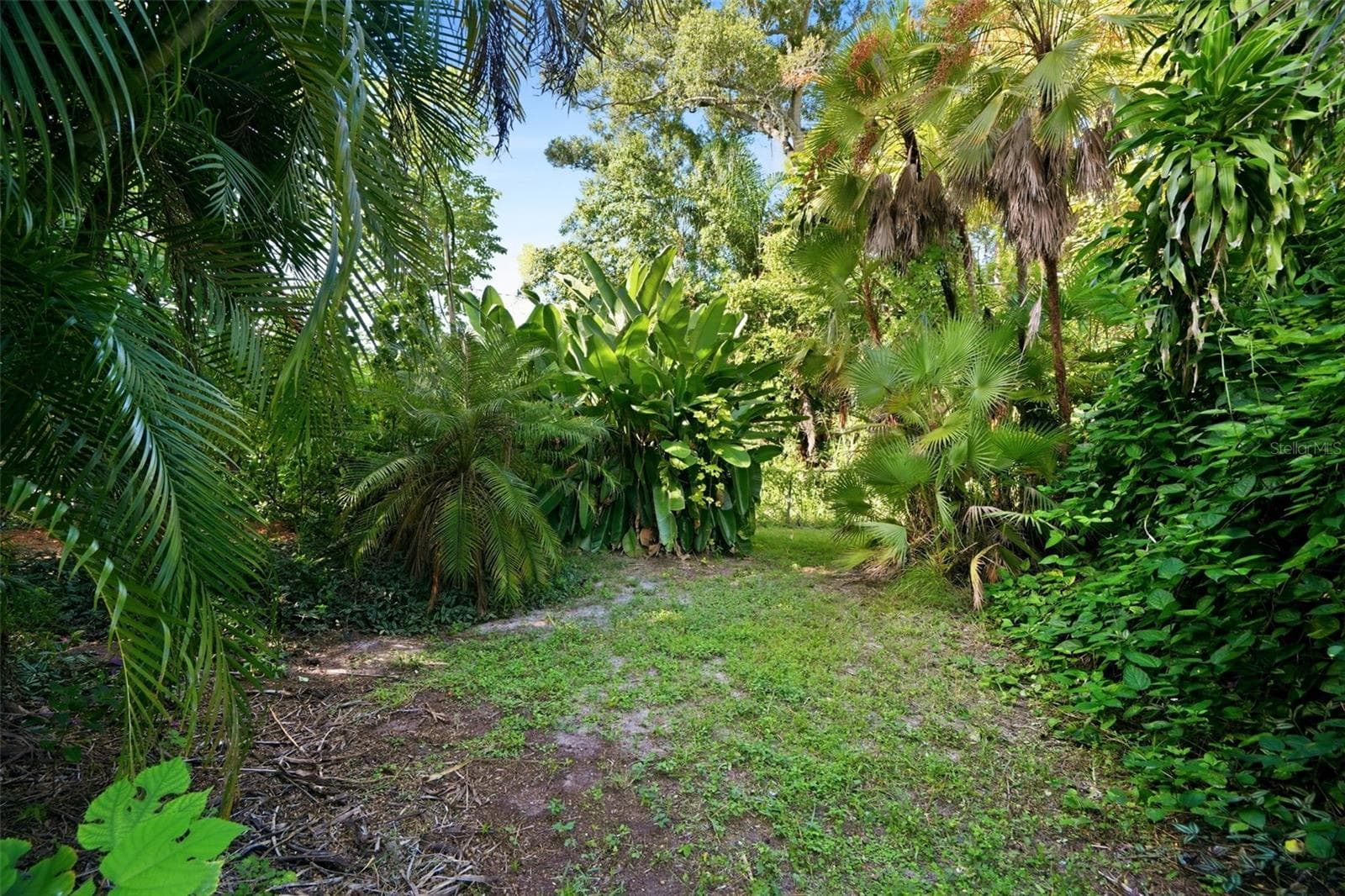 Backyard - 7909 49TH AVE N, ST PETERSBURG