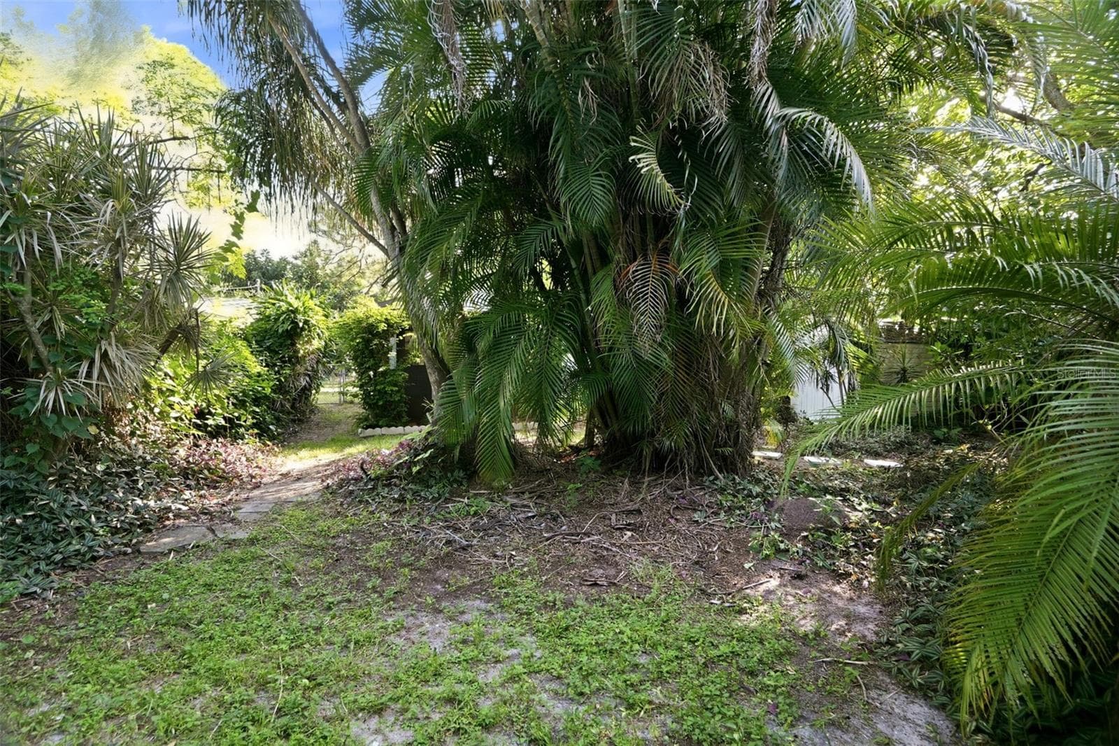 Backyard - 7909 49TH AVE N, ST PETERSBURG