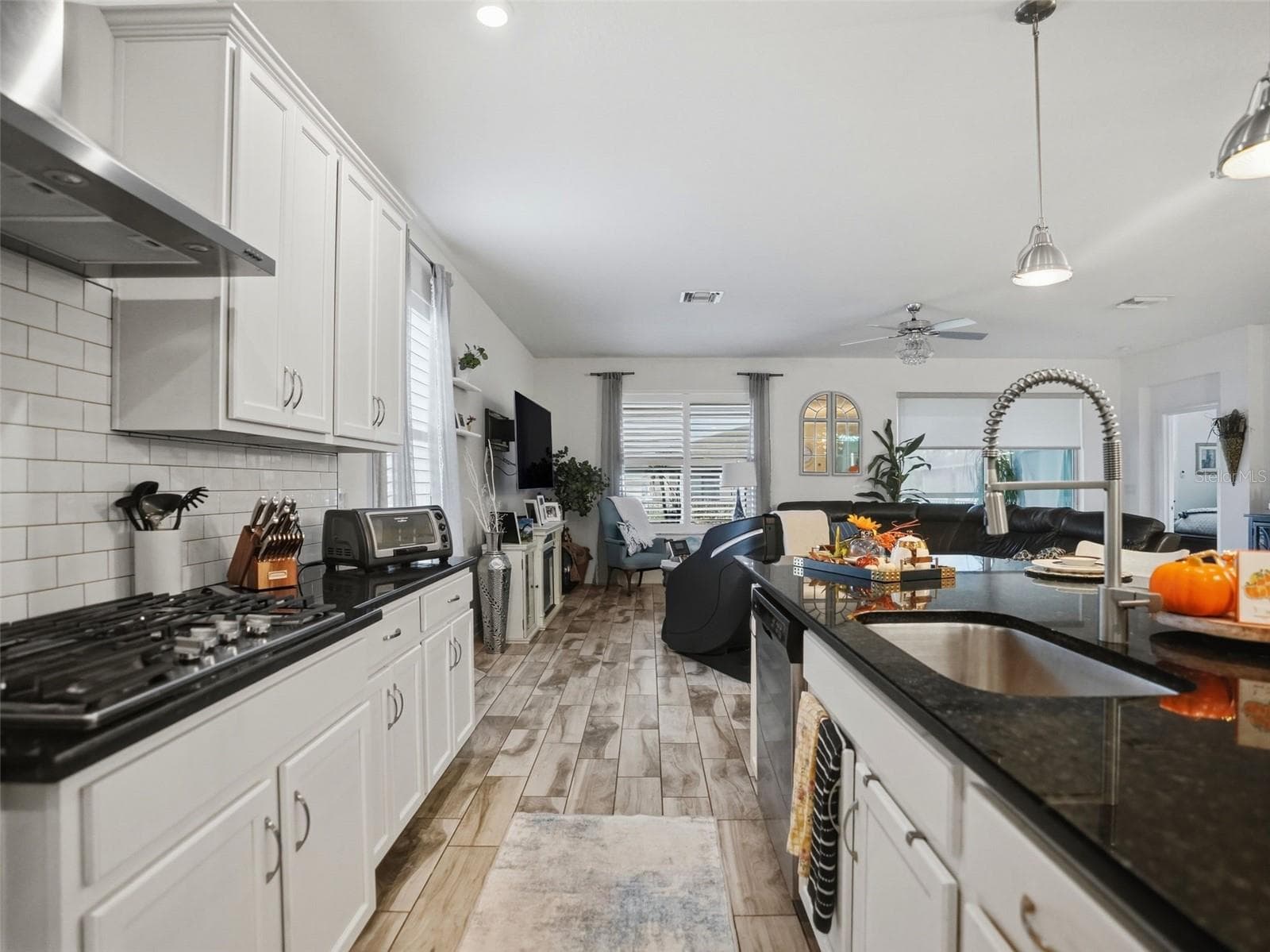 Single Family Residence at 19458 FORT KING RUN, BROOKSVILLE, photo 14 of 58