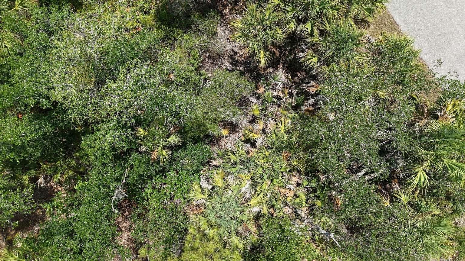Land at 470 OLMSTEAD ST, PORT CHARLOTTE, photo 3 of 7