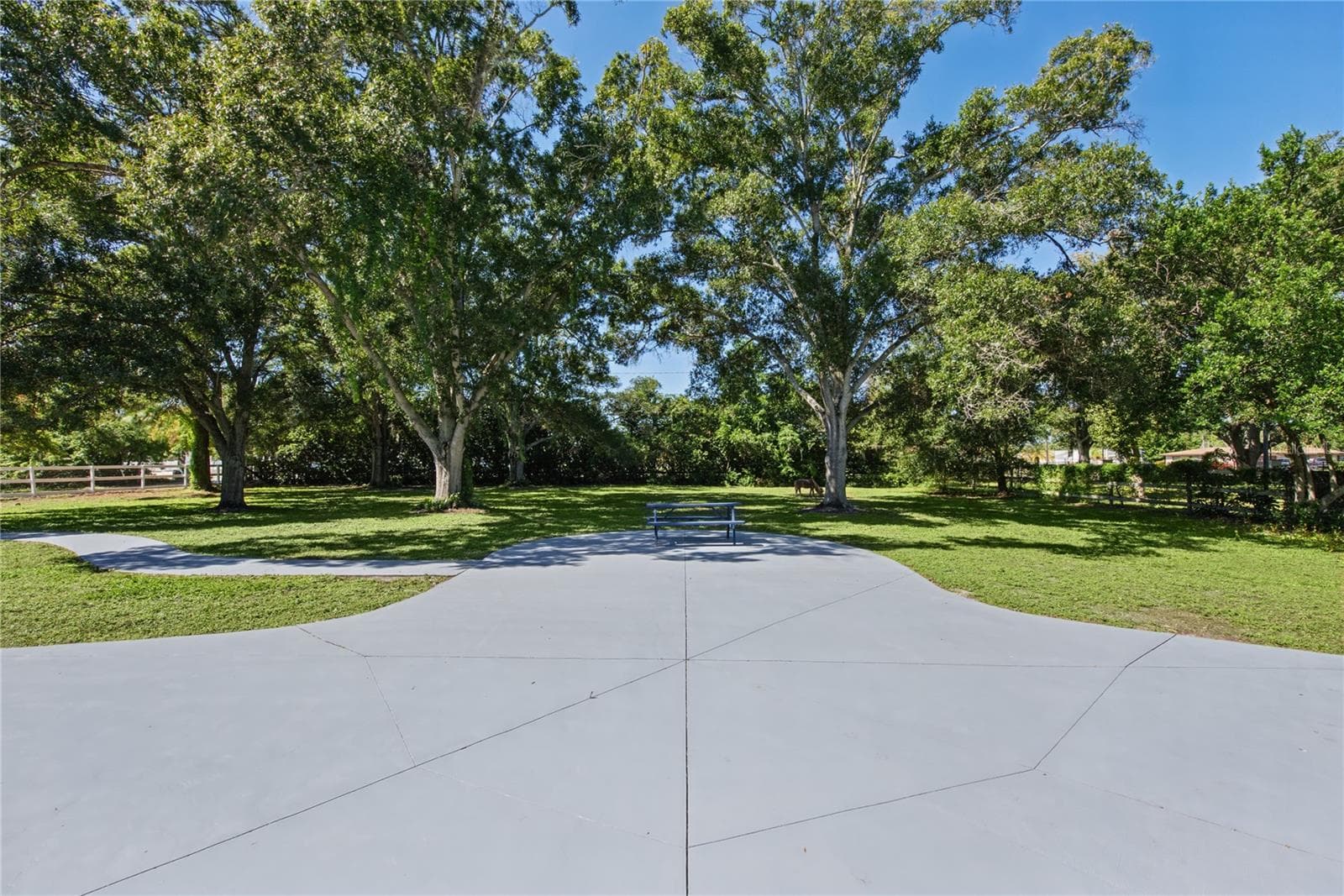 Front yard (7) - 1817 N KEENE RD, CLEARWATER