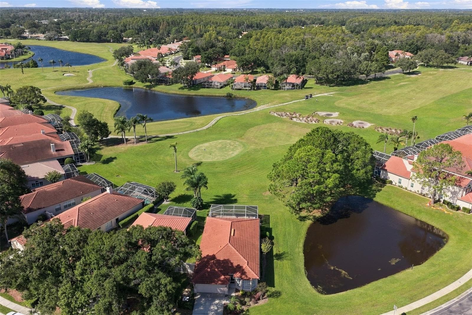 Single Family Residence at 1194 DARTFORD DR, TARPON SPRINGS, photo 37 of 46