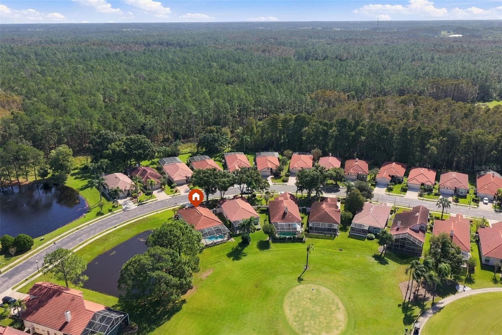 Single Family Residence at 1194 DARTFORD DR, TARPON SPRINGS, photo 41 of 46