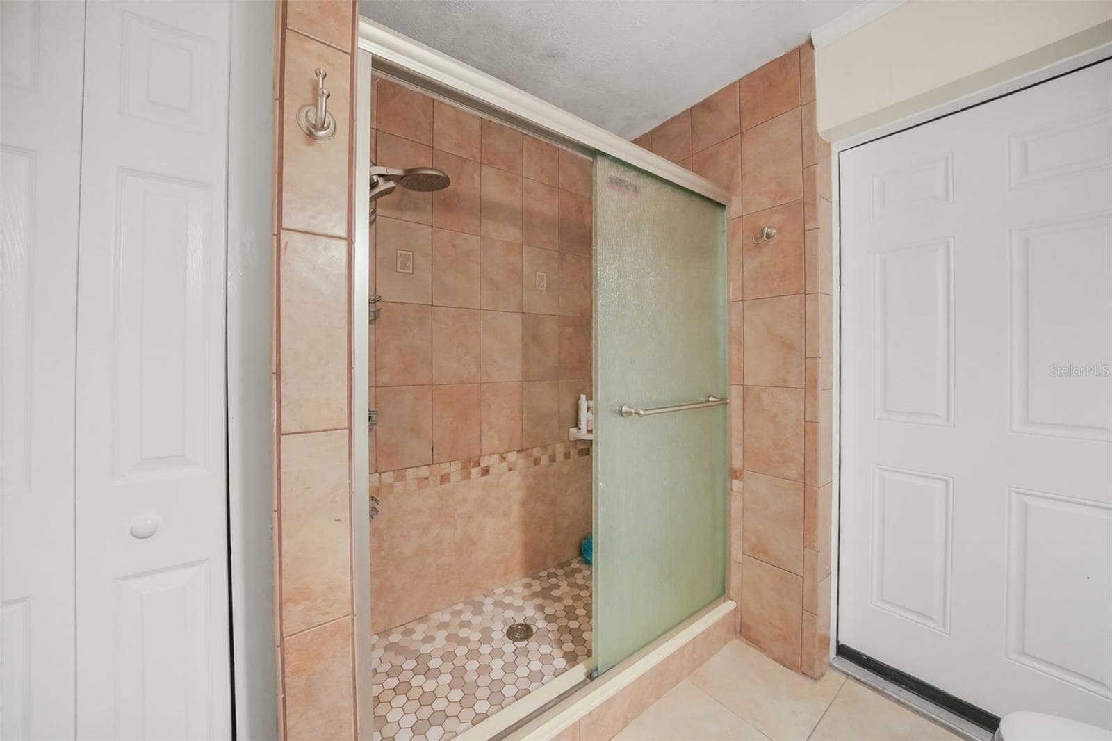 Single Family Residence at 6912 SENOJ DR, TAMPA, photo 28 of 59