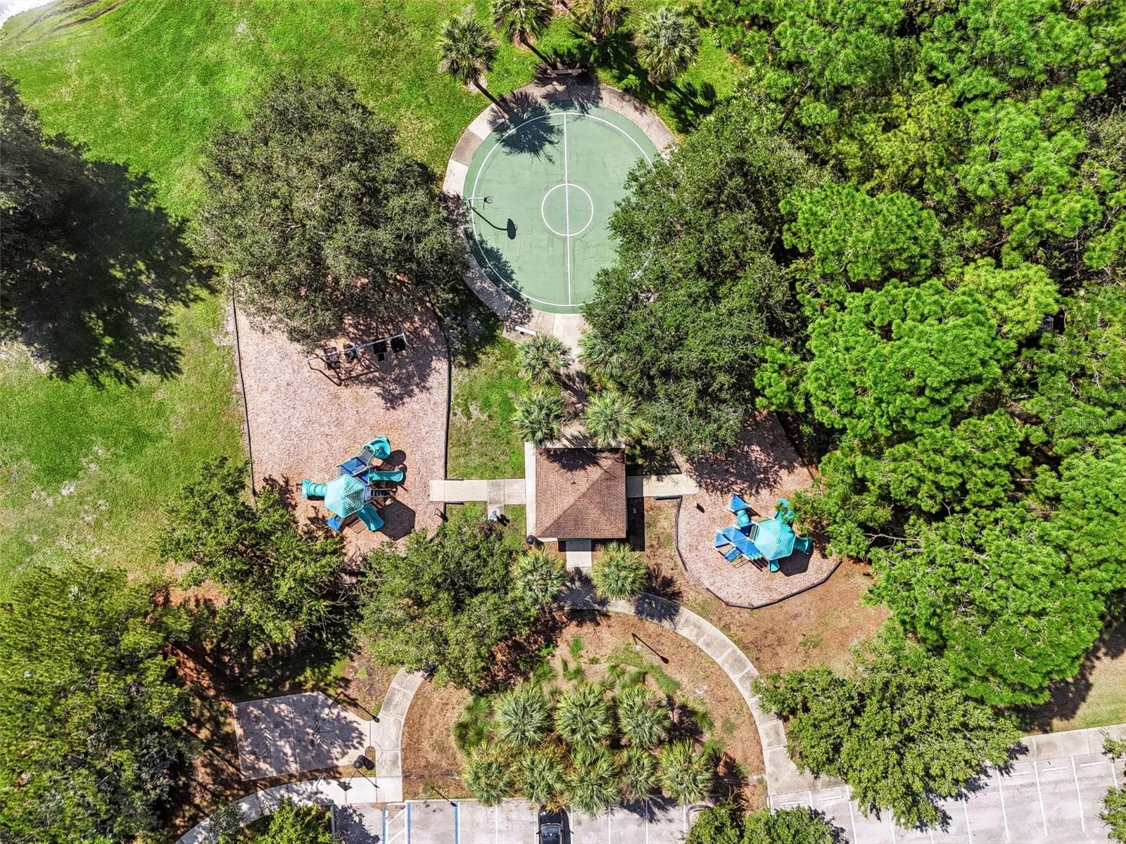 community features - 12541 LEATHERLEAF DR, TAMPA