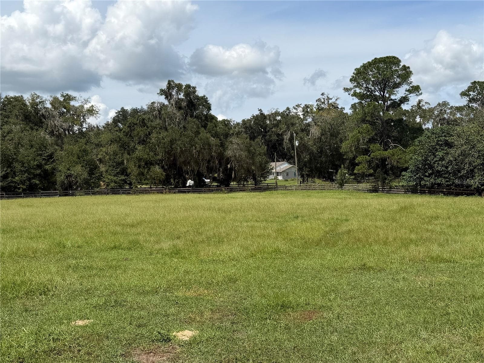 Farm at 14421 SW 14TH ST, OCALA, photo 6 of 12