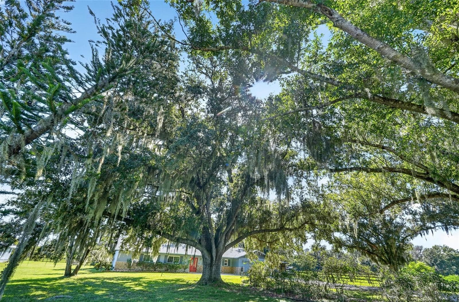 Single Family Residence at 37550 CLAY GULLY RD, MYAKKA CITY, photo 68 of 78