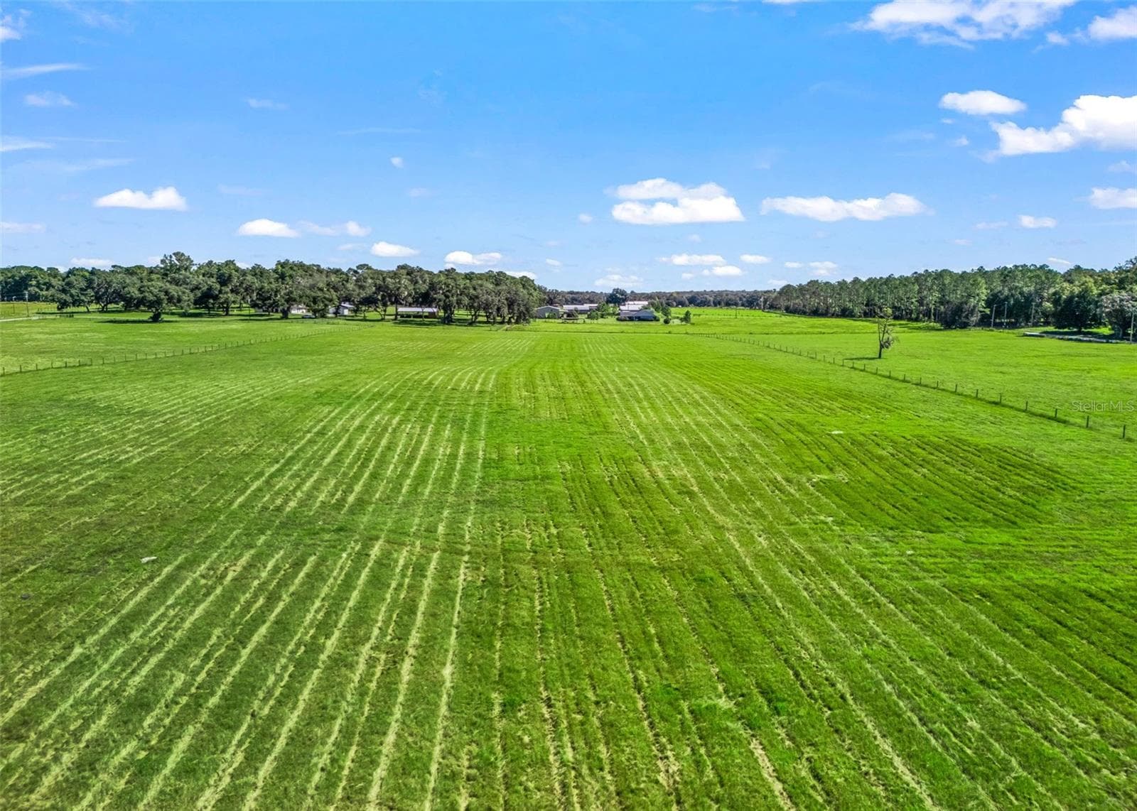 Land at CR 575, BUSHNELL, photo 6 of 15