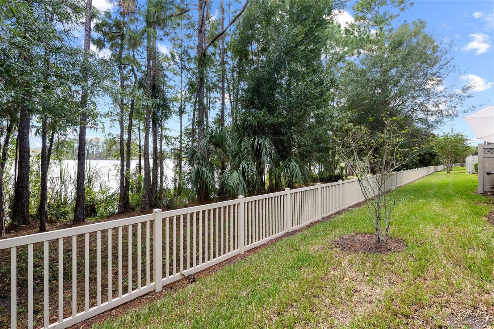 Townhouse at 11424 CROWNED SPARROW LN, TAMPA, photo 39 of 53