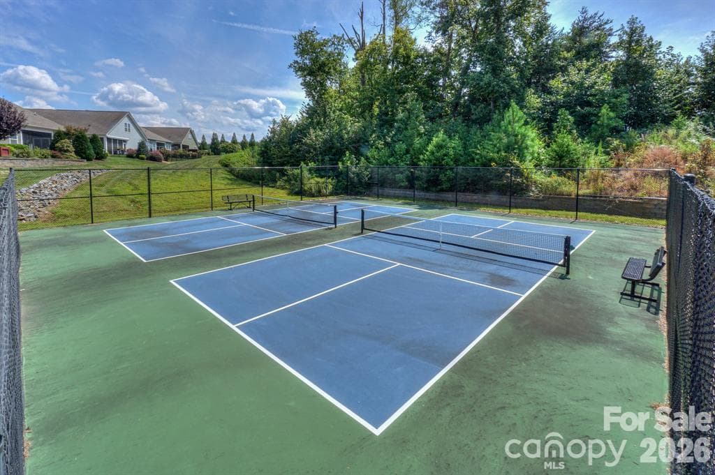 Pickleball - 161 Blueview Road, Mooresville