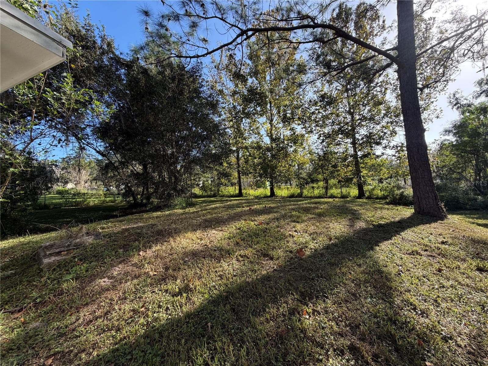 Back Yard - 9038 PARRISH AVE, BROOKSVILLE