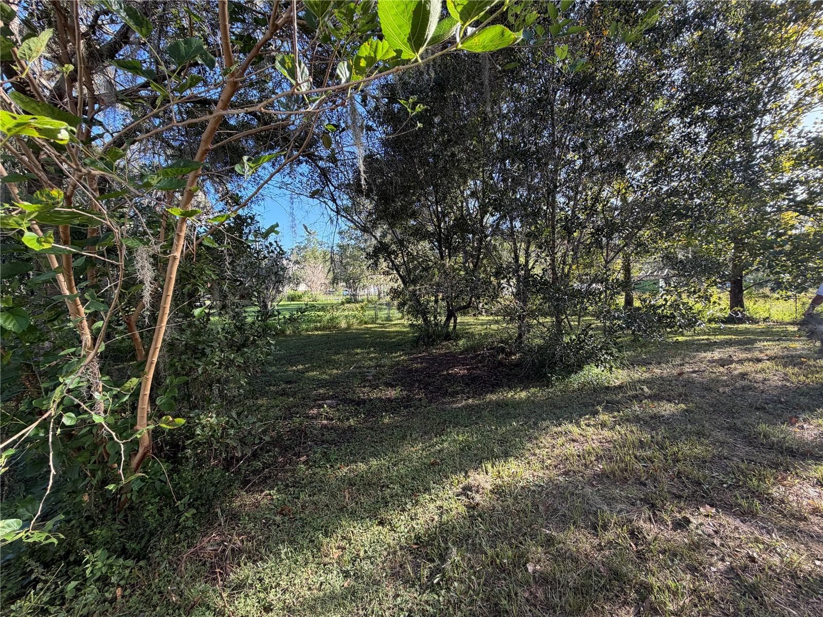 Back Yard - 9038 PARRISH AVE, BROOKSVILLE