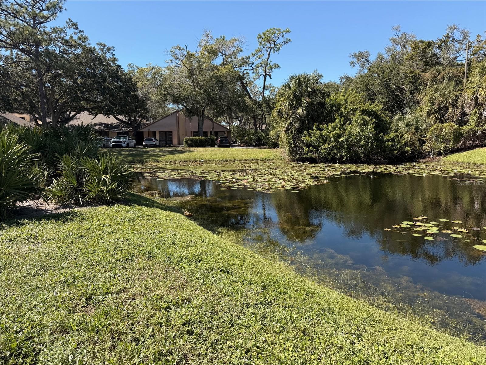 Condominium at 2971 ESTANCIA BLVD #319, CLEARWATER, photo 4 of 49