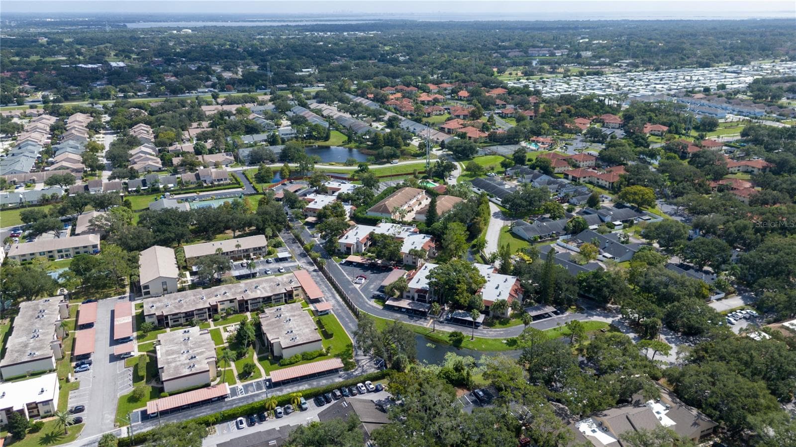 Condominium at 2971 ESTANCIA BLVD #319, CLEARWATER, photo 47 of 49
