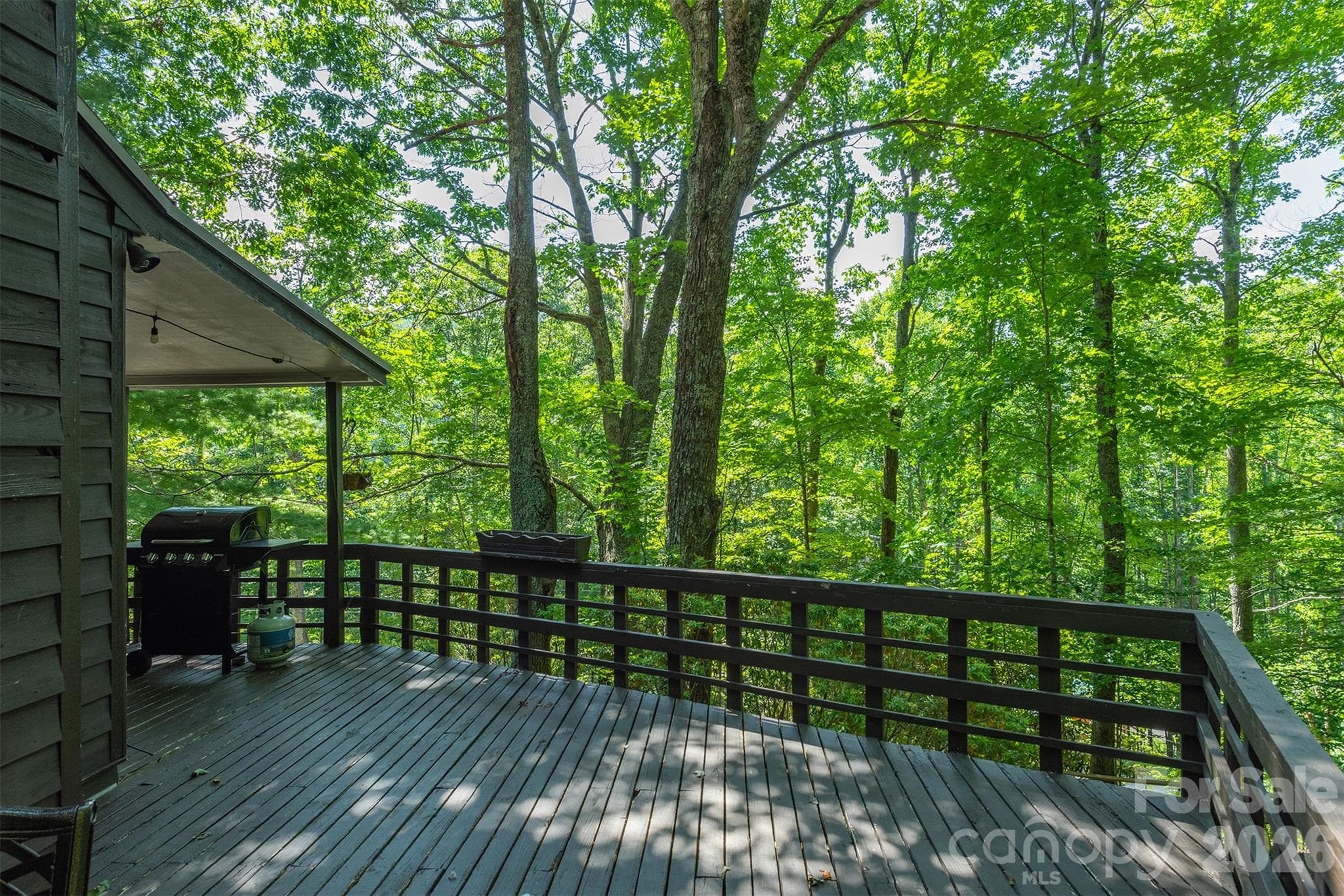 Single Family Residence at 20 Gardenside Road, Mars Hill, photo 42 of 42