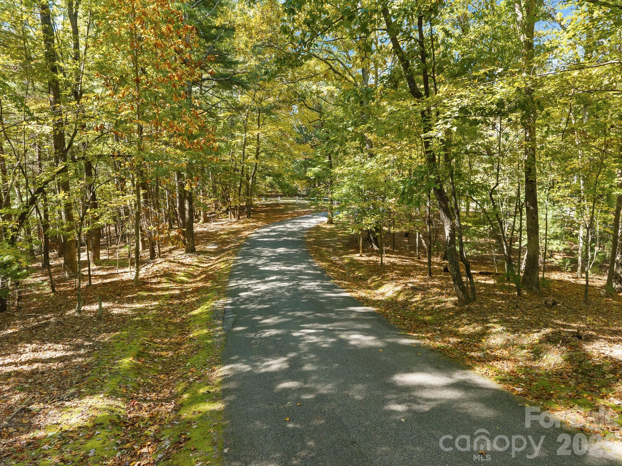 Lot at Lot 15 Spanish Oak Drive, Cedar Mountain, photo 5 of 19