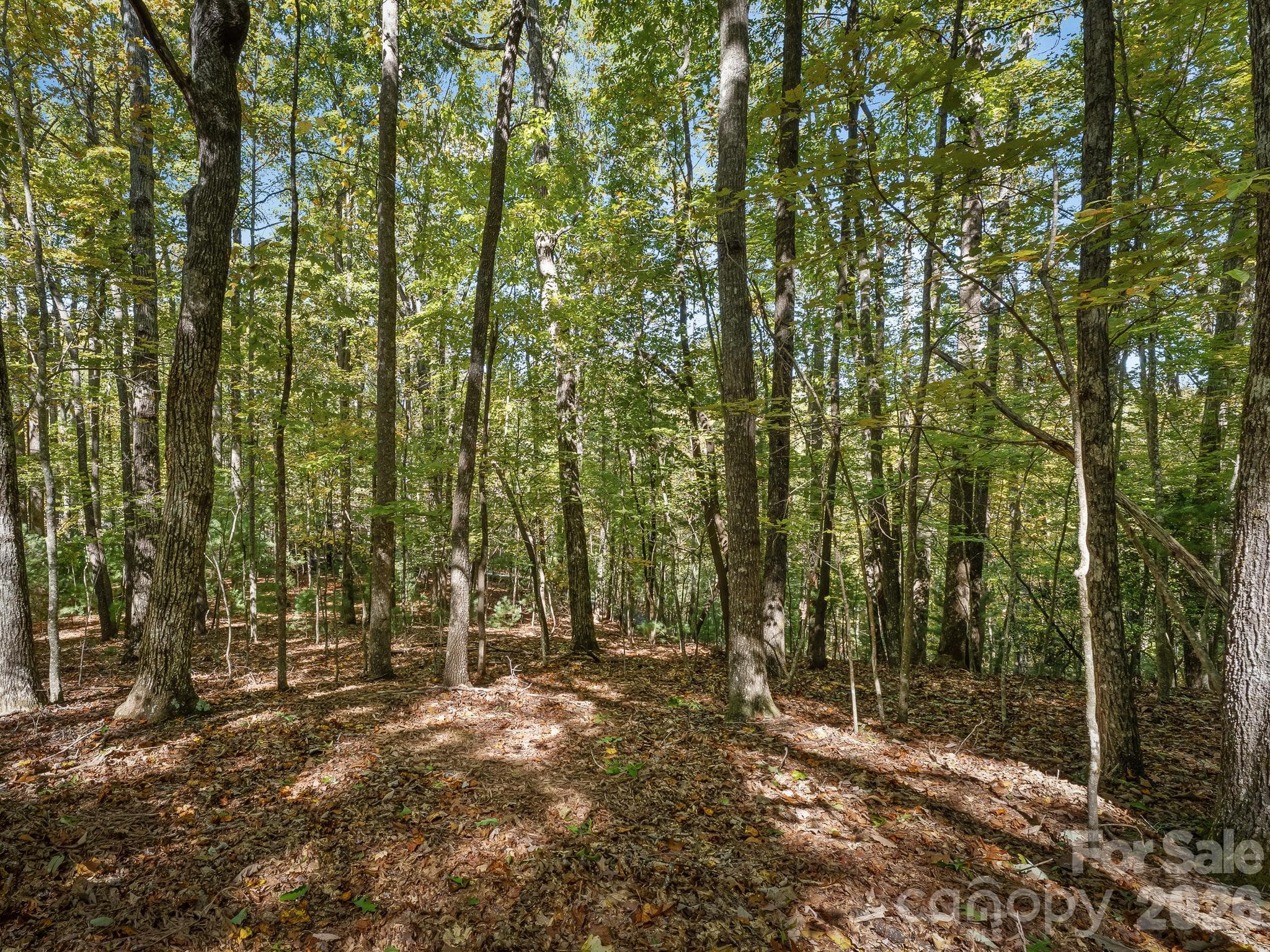Lot at Lot 15 Spanish Oak Drive, Cedar Mountain, photo 14 of 19