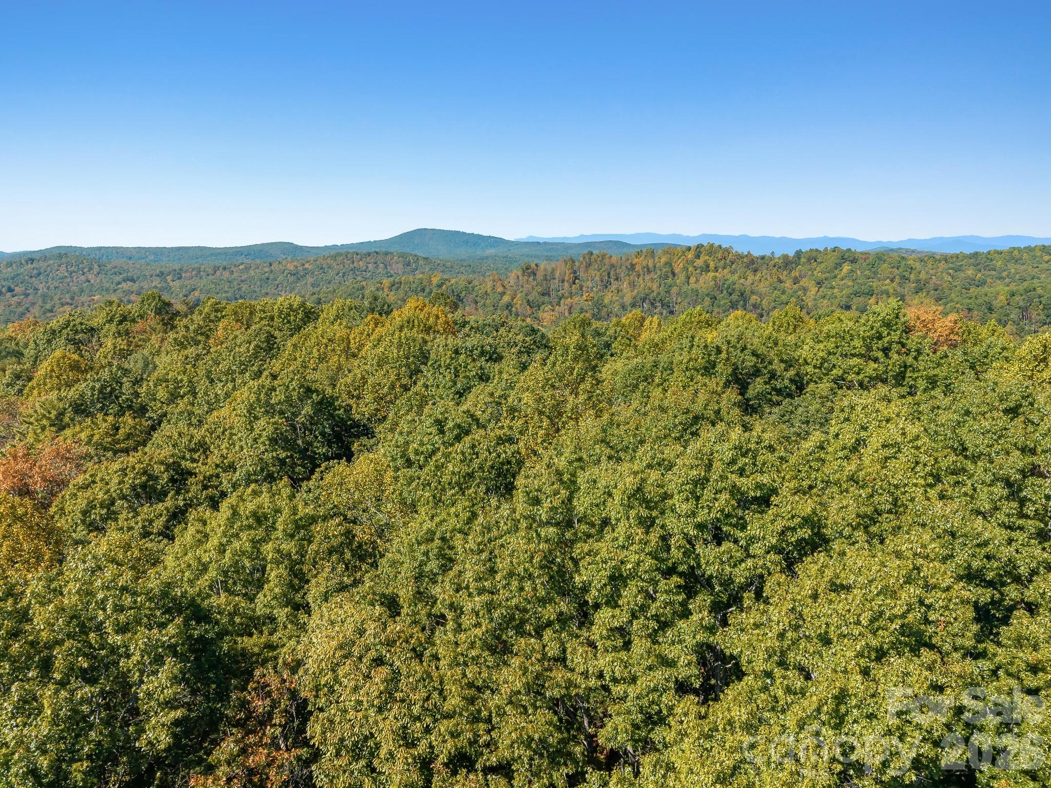 Lot at Lot 15 Spanish Oak Drive, Cedar Mountain, photo 17 of 19