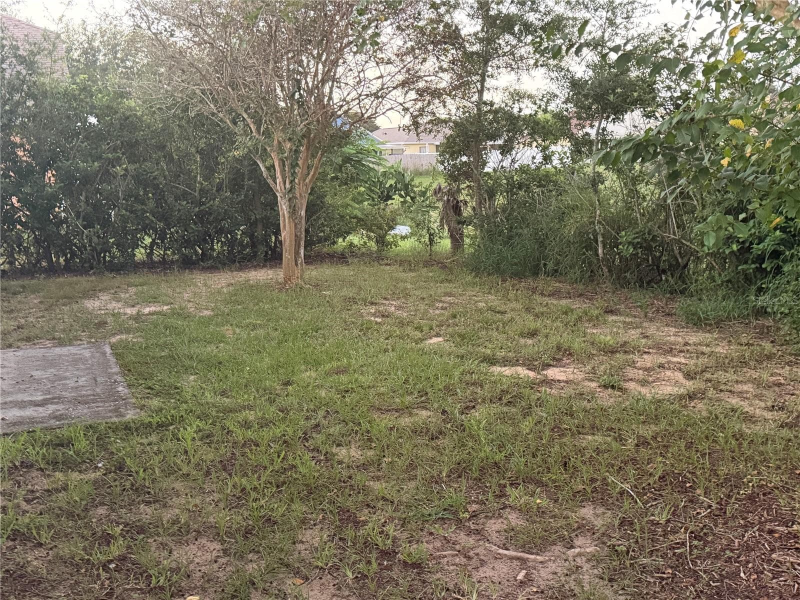 Backyard - 16116 DORCHESTER BLVD, CLERMONT