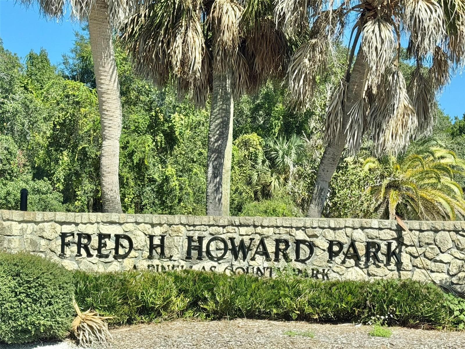 Nearby Fred Howard Park - 336 SHADDOCK ST, TARPON SPRINGS
