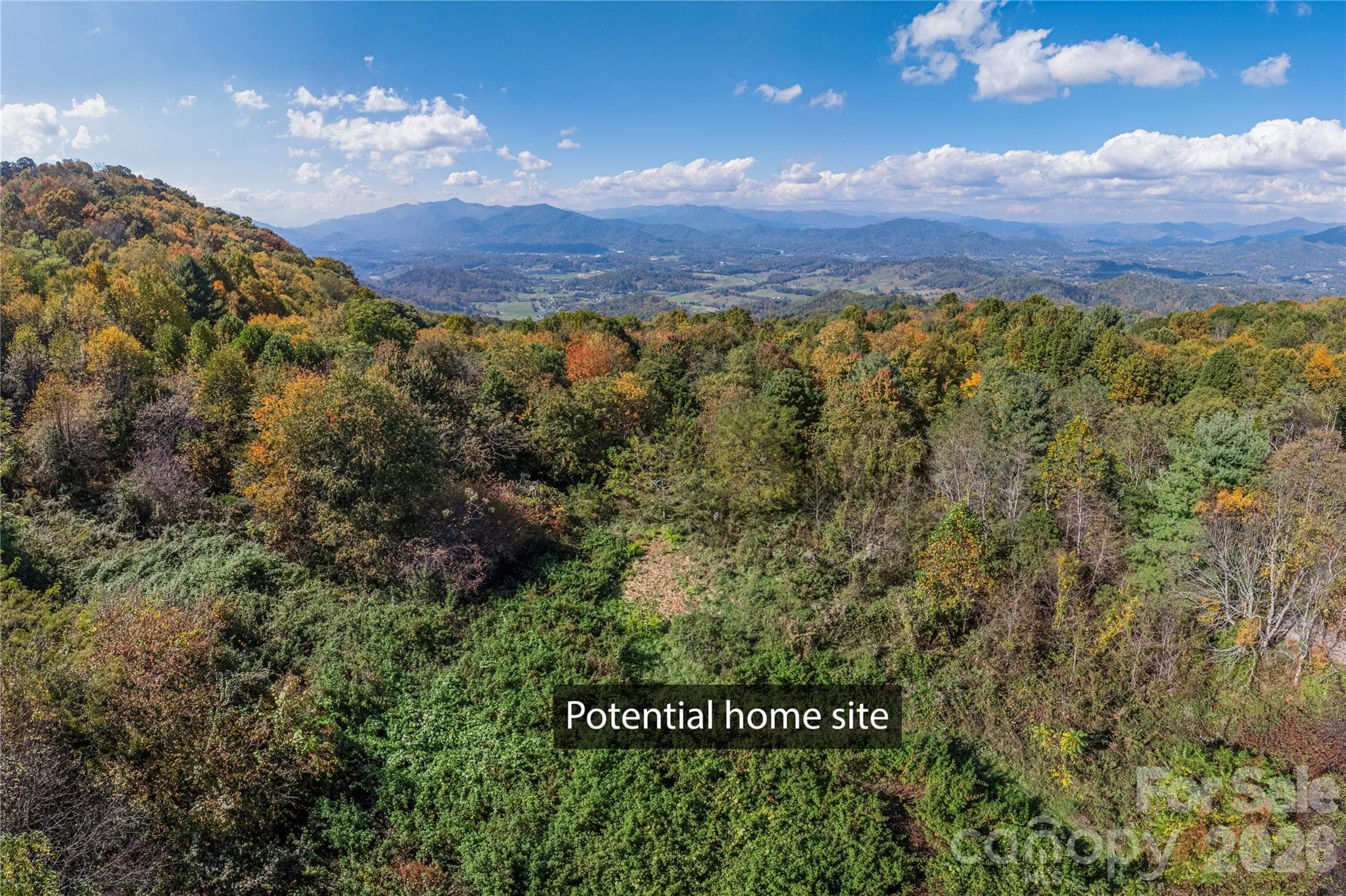 Acreage at TBD Windaleir Lane, Waynesville, photo 8 of 34