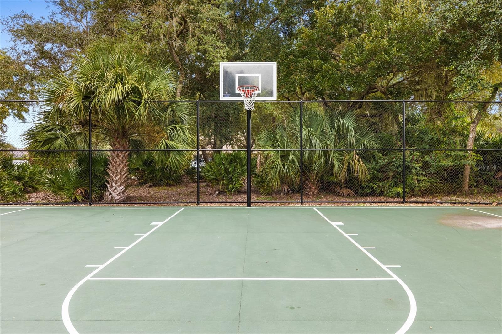 Basketball - 47 EASTLAKE DR, PALM COAST