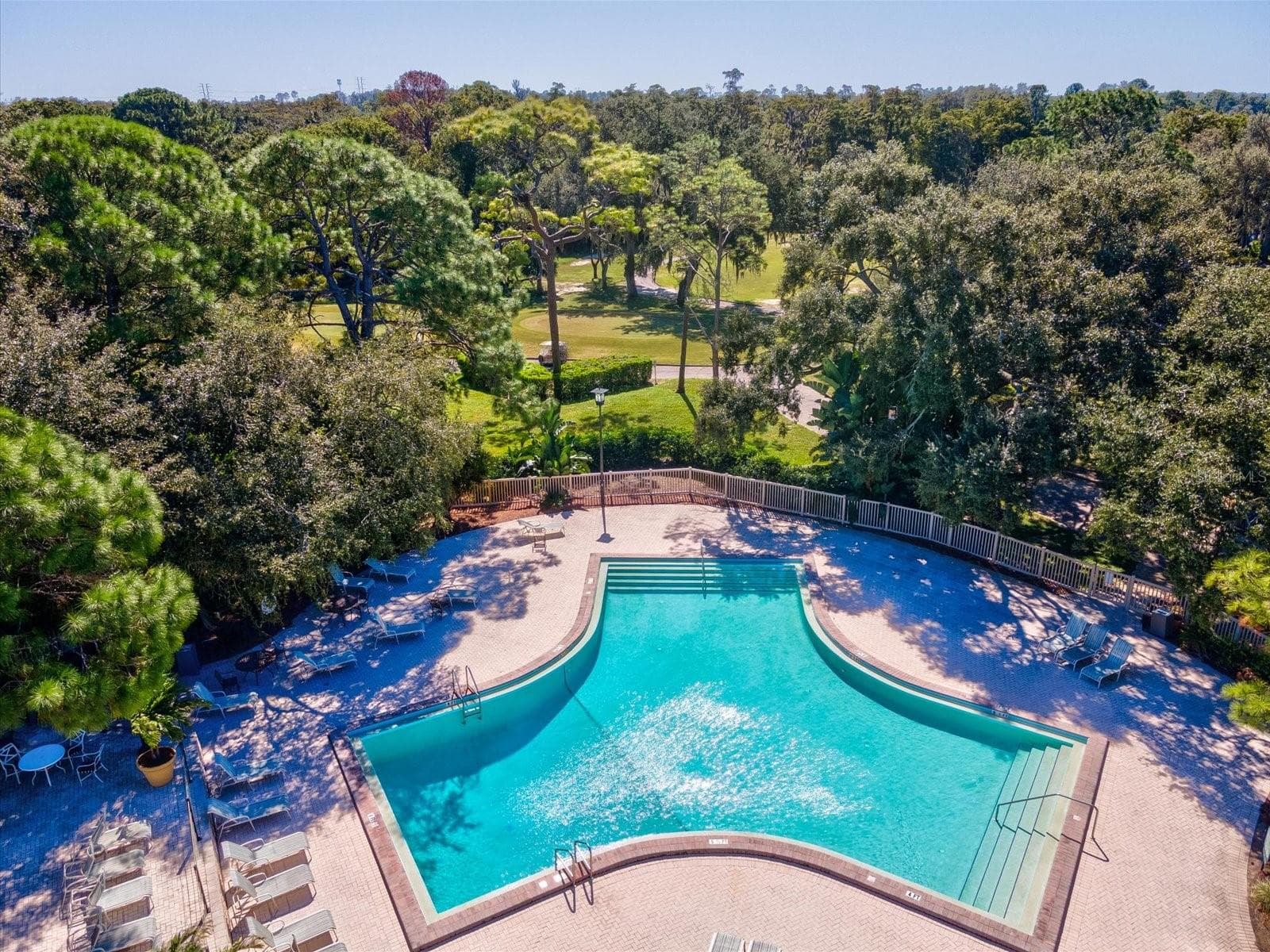 Condominium at 36750 US HIGHWAY 19 N #2372, PALM HARBOR, photo 38 of 56
