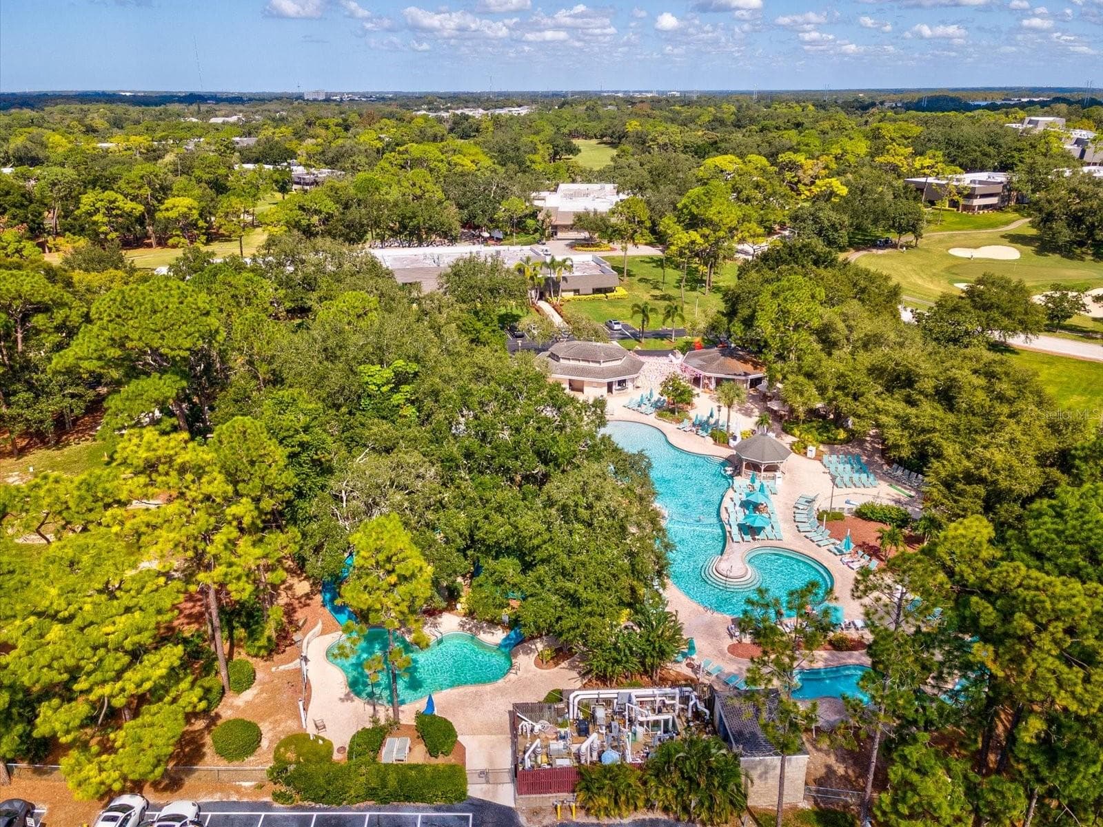 Condominium at 36750 US HIGHWAY 19 N #2372, PALM HARBOR, photo 55 of 56
