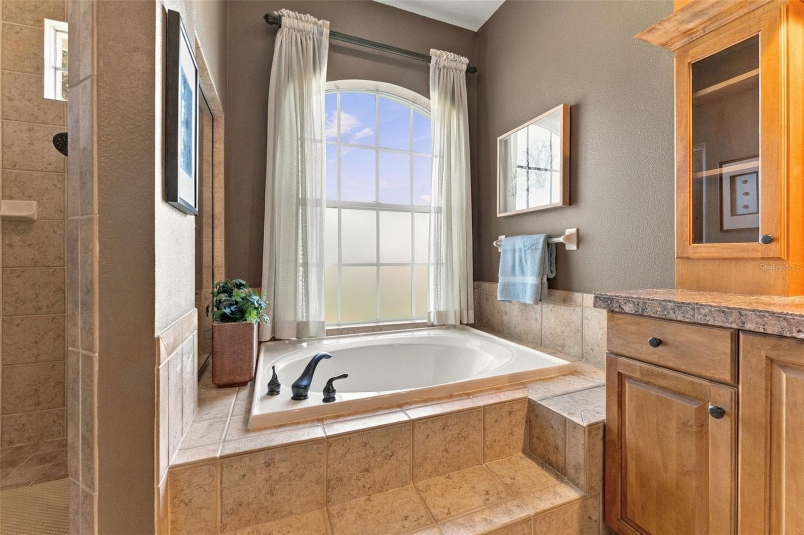 Single Family Residence at 1663 CANOPY OAKS BLVD, PALM HARBOR, photo 28 of 60
