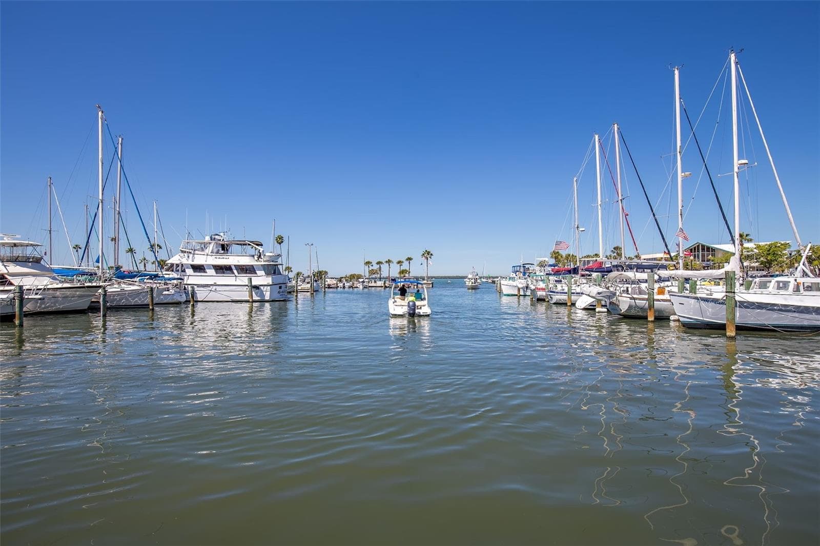 Marina, Downtown Dunedin - 1663 CANOPY OAKS BLVD, PALM HARBOR