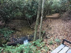 Community Creek - TBD Barts Branch Drive, Balsam Grove
