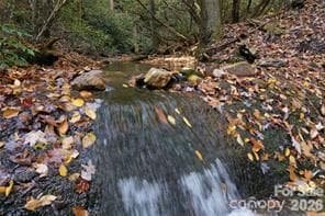 Community Creek - TBD Barts Branch Drive, Balsam Grove