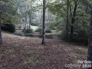 Community Pond - TBD Barts Branch Drive, Balsam Grove