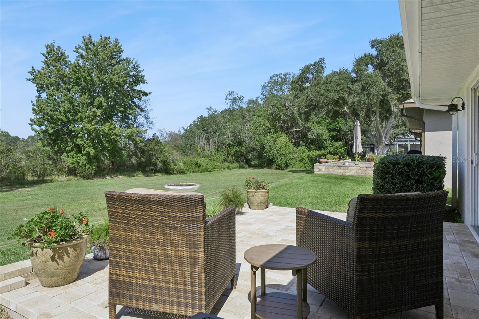 Views of the Florida greenspace - 5853 PRINCESS CAROLINE PL, LEESBURG