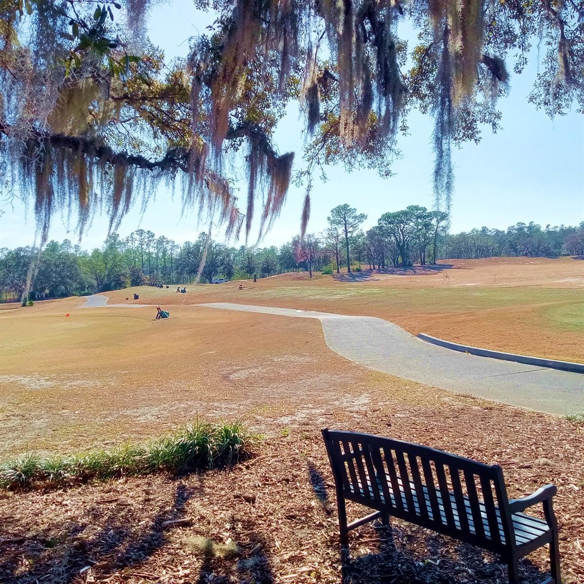 Single Family Residence at 14 CARNATION CT, HOMOSASSA, photo 55 of 63