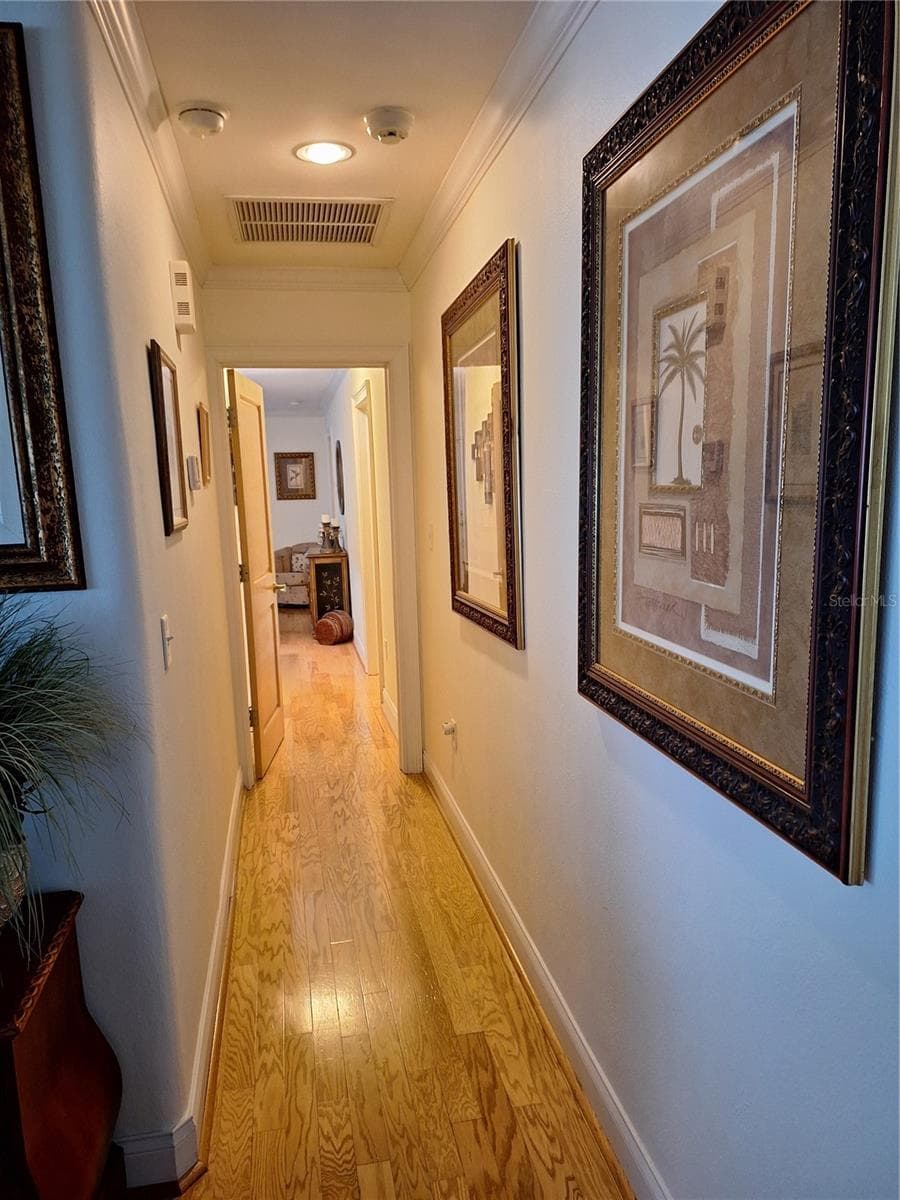 Corridor to Primary Suite. - 456 W 10TH AVE, MOUNT DORA