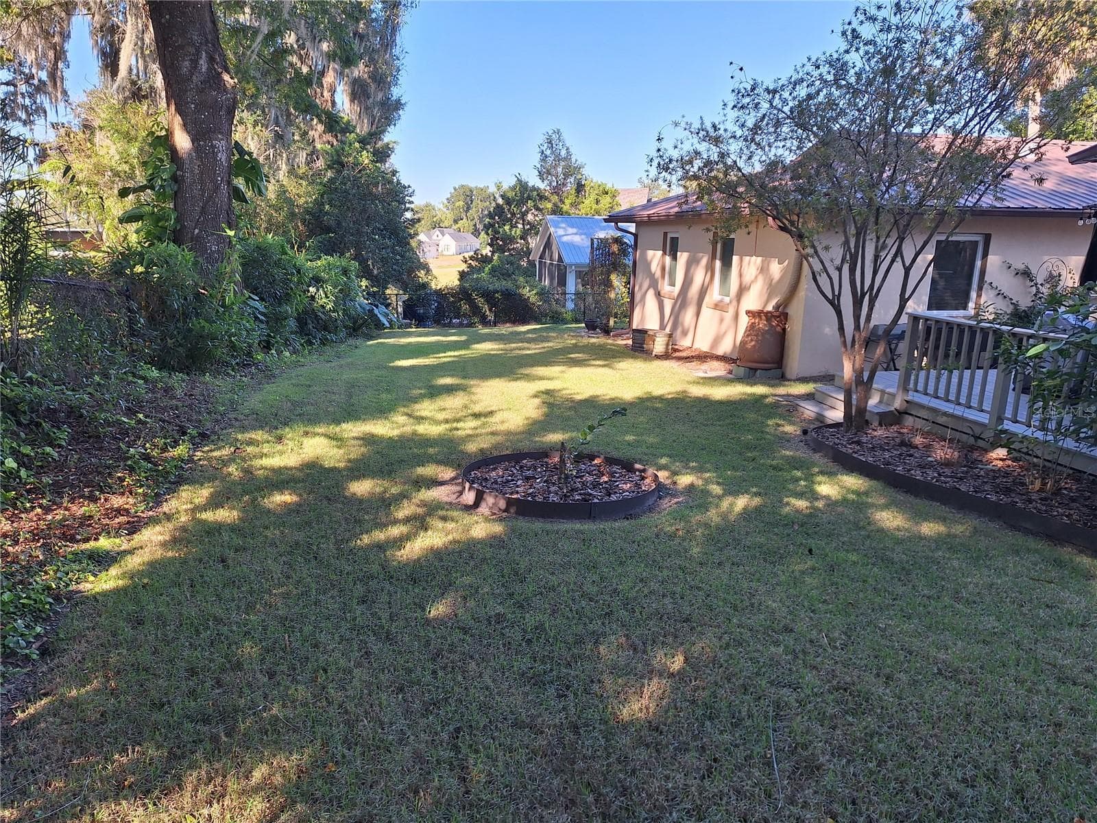Backyard. - 456 W 10TH AVE, MOUNT DORA