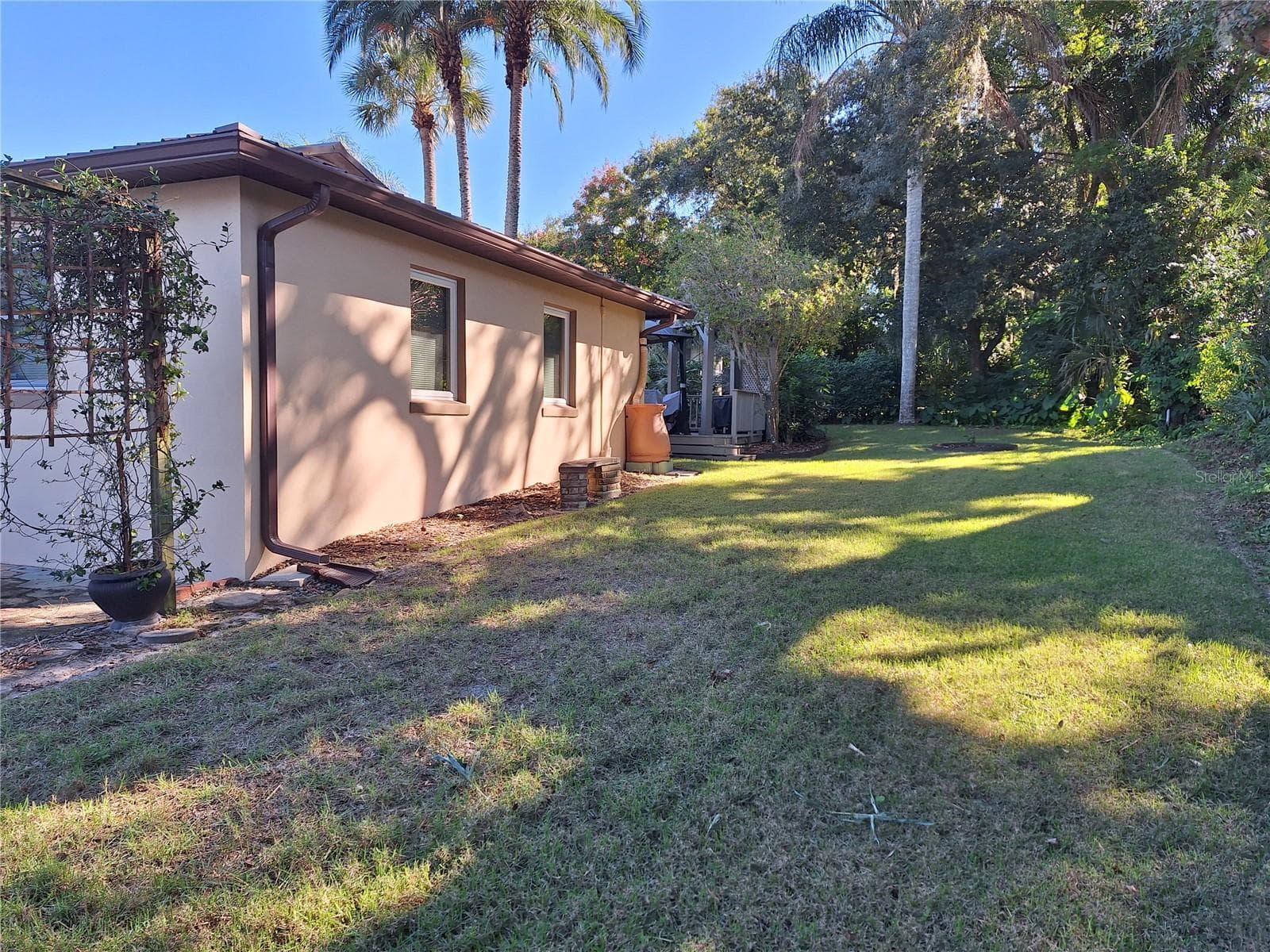Backyard. - 456 W 10TH AVE, MOUNT DORA