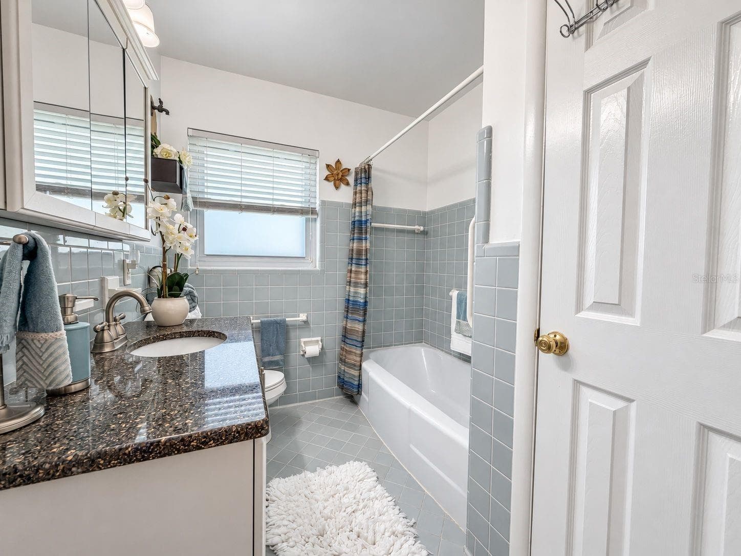 Single Family Residence at 4201 NARVAREZ WAY S, ST PETERSBURG, photo 23 of 50