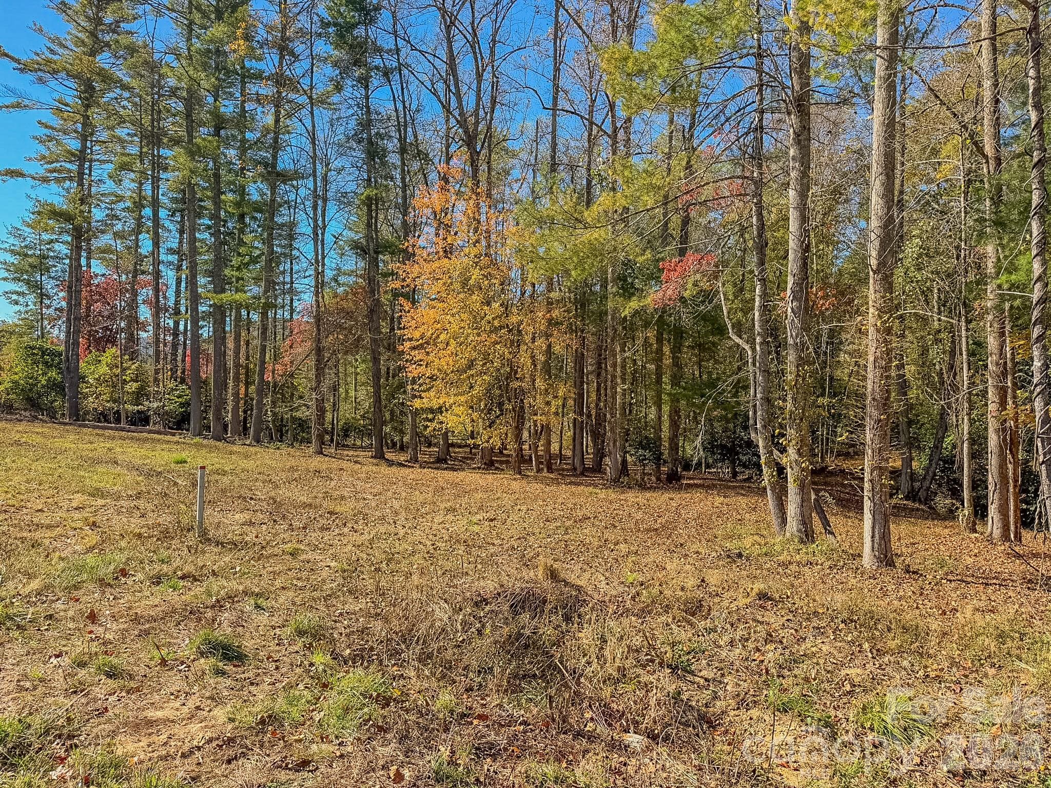 Lot at 00 Crystal Mountain Drive, Hendersonville, photo 5 of 30