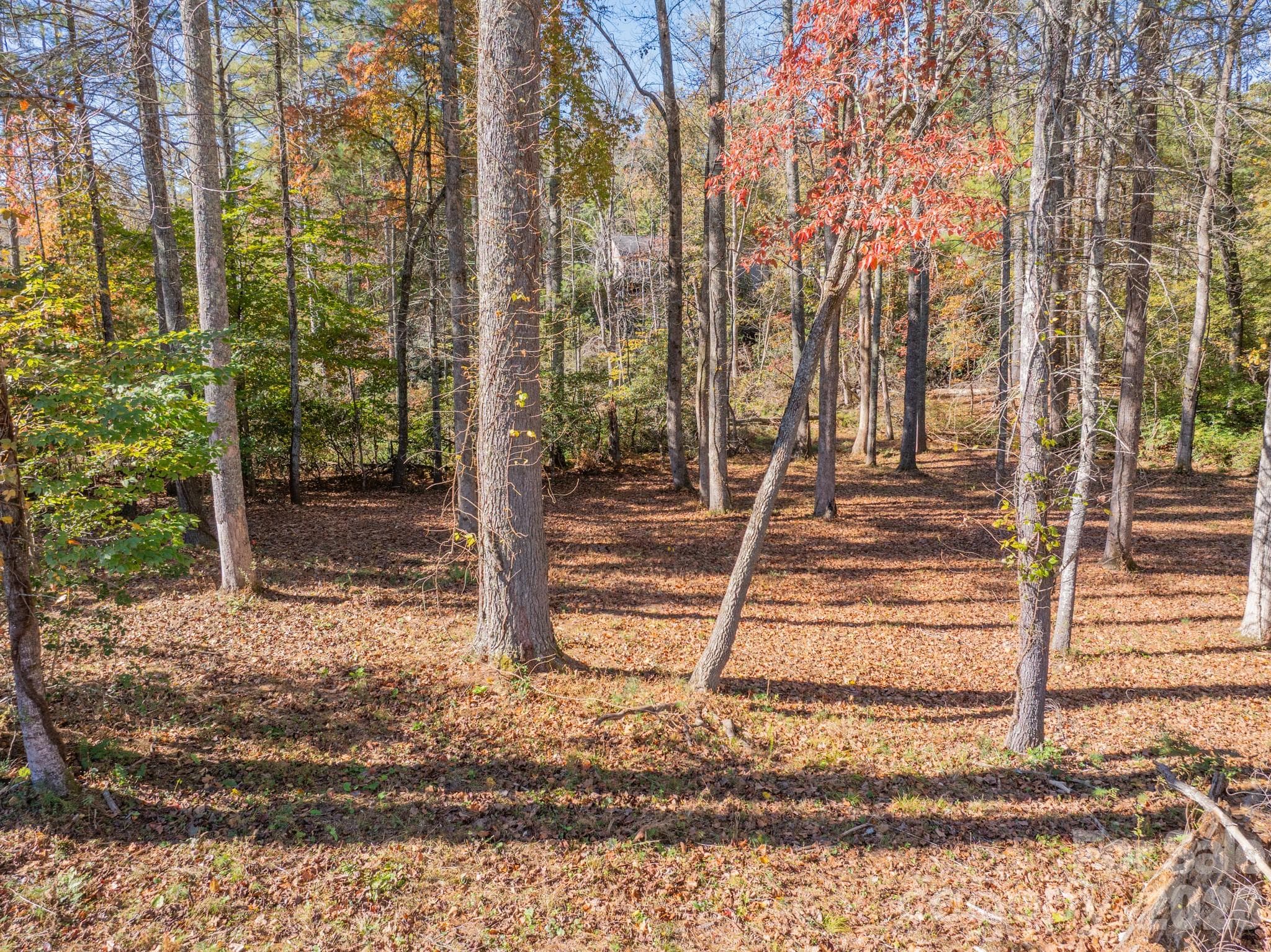 Lot at 00 Crystal Mountain Drive, Hendersonville, photo 6 of 30