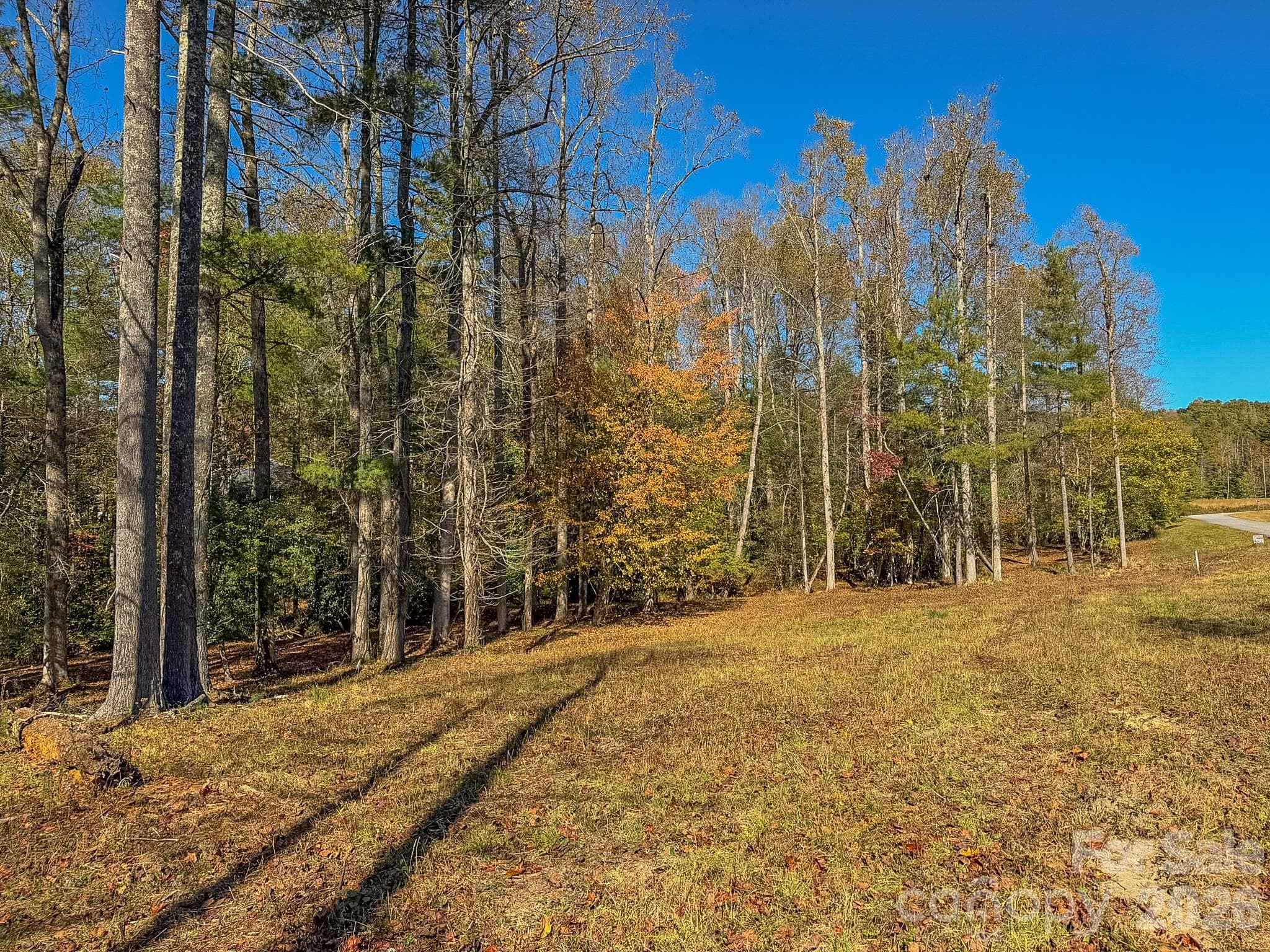 Lot at 00 Crystal Mountain Drive, Hendersonville, photo 9 of 30